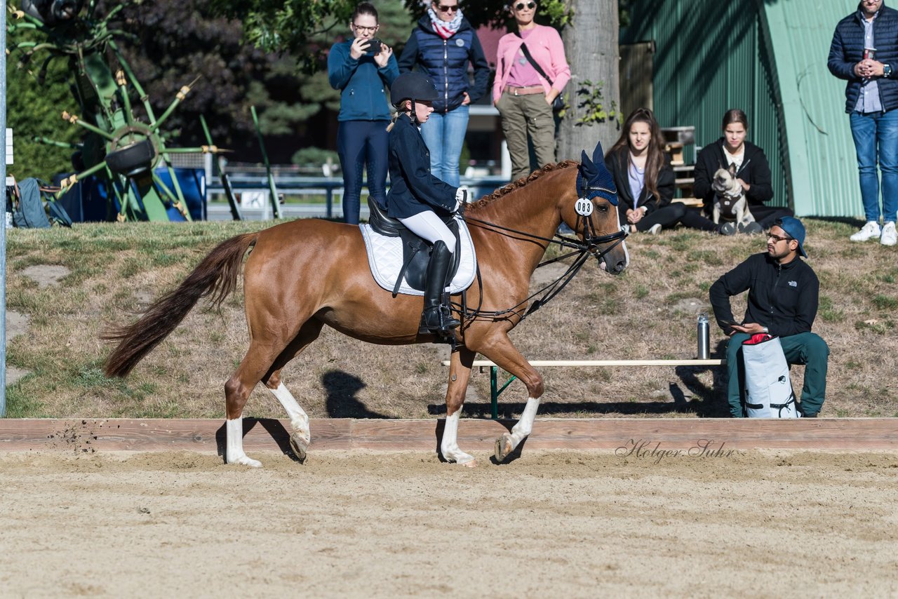 Bild 58 - Pony Akademie Turnier